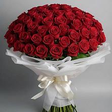 Букет 101 Красная роза Блэк Мэджик в Душоново