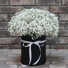 Цветочная композиция из Гипсофила в шляпной коробке в Душоново